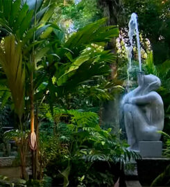 Orquidário de Santos