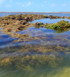 Praia do Bessa