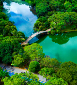 Parque Ibirapuera