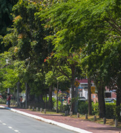 Av. Mallet (roteiro gastronômico)