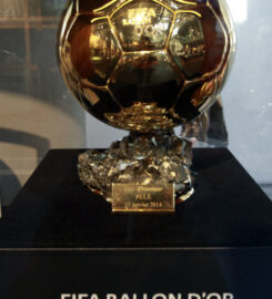 Museu Pelé